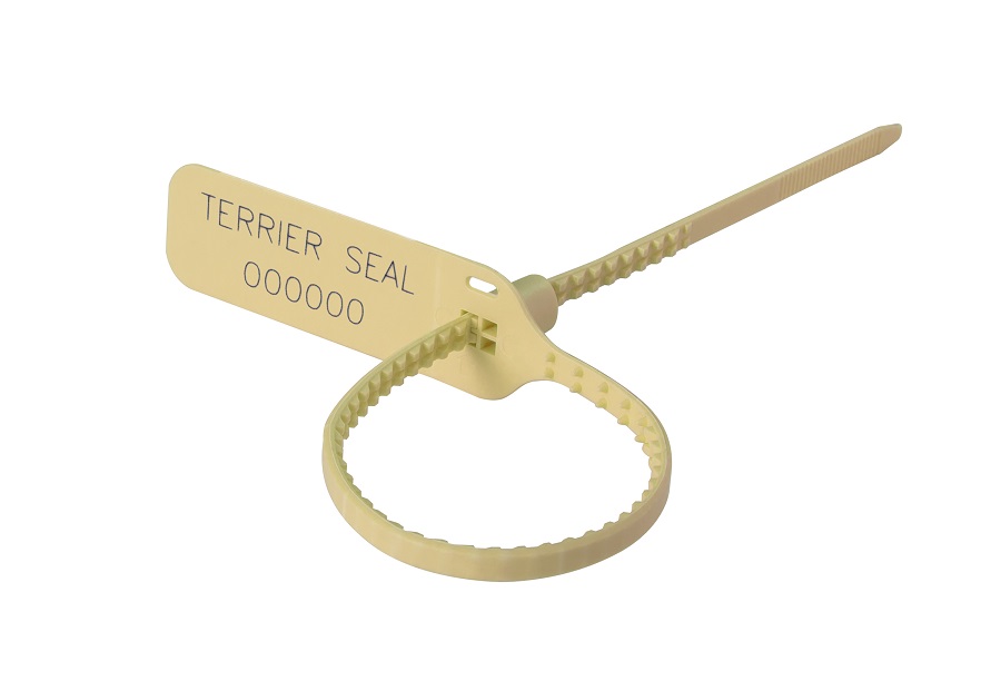 Terrier-Seal