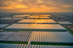 renewable energy solar farm